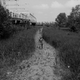 Image for article titled Photos: This is life on a sinking island
